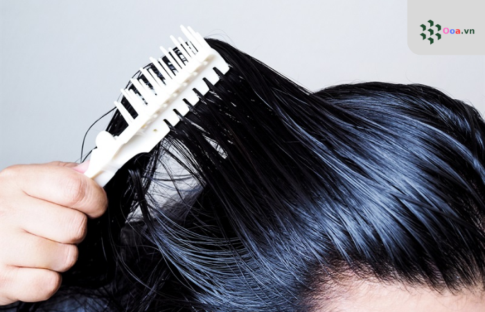 ooa.vn800 x 450 px 700 x 450 px 20