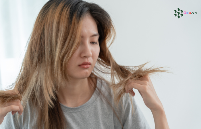 ooa.vn800 x 450 px 700 x 450 px 25