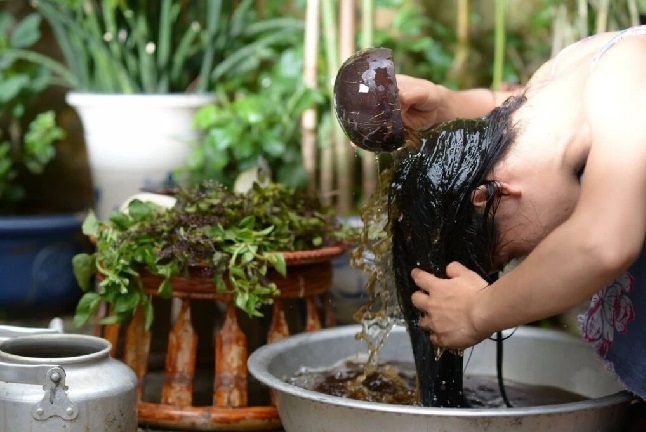 Nấu nước gội đầu trị gàu bằng bồ kết