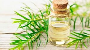 Điểm danh 8 loại tinh dầu kích thích mọc tóc tự nhiên, an toàn
