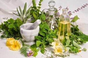 Thành phần hữu cơ trong Dầu gội thảo mộc