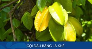Dầu gội đầu làm từ khế