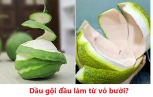 Dầu gội đầu làm từ vỏ bưởi đơn giản tại nhà