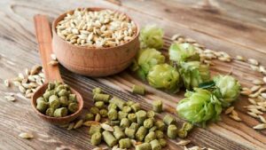Chiết xuất Hoa Bia (Hops Extract) – Thành phần & Công dụng cho tóc