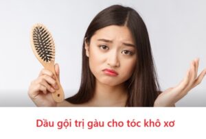 Dầu gội trị gàu cho tóc khô xơ