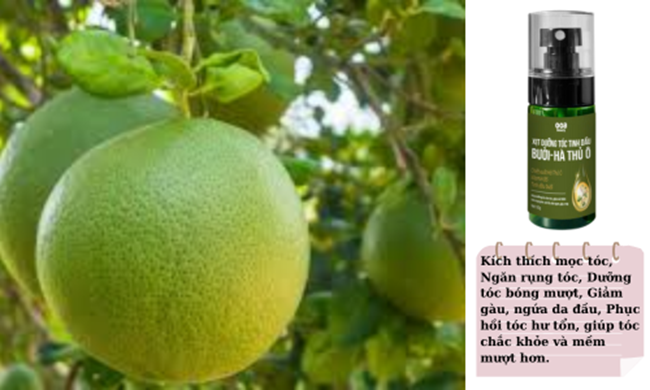 Cách xịt sản phẩm dưỡng tóc Hà Thủ Ô