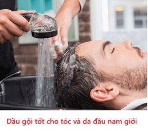 Dầu gội tốt cho tóc và da đầu nam giới
