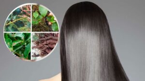 Xịt Hà Thủ Ô mọc tóc